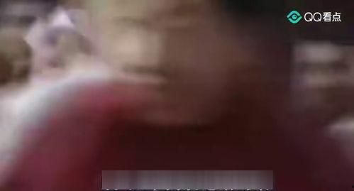 国产搞基视频,揭秘网络亚文化现象